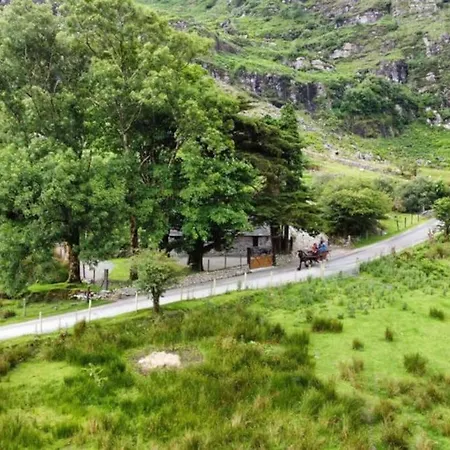 Gap Of Dunloe Shepherd's * Killarney