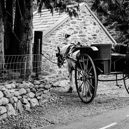 Gap Of Dunloe Shepherd's * Killarney