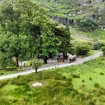 Gap Of Dunloe Shepherd's * Killarney