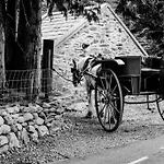 Gap Of Dunloe Shepherd's * Killarney