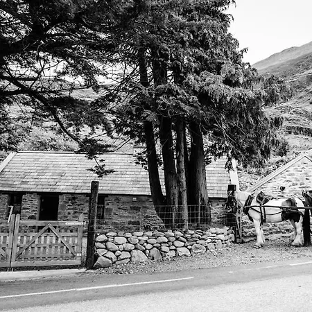 Gap Of Dunloe Shepherd's كيلارني