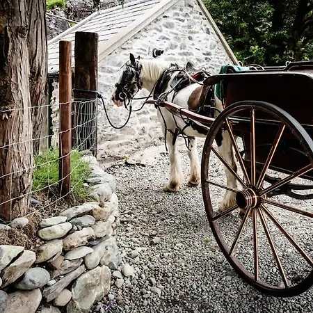 بيت للعطل Gap Of Dunloe Shepherd's كيلارني