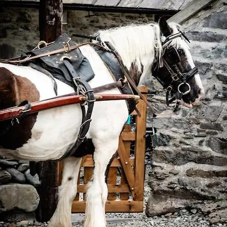 Semesterbostad Gap Of Dunloe Shepherd's *