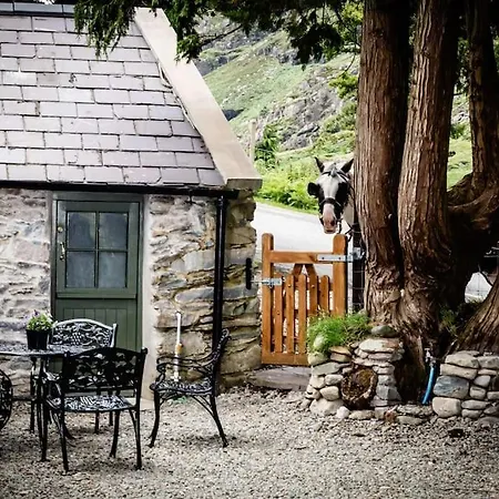 Gap Of Dunloe Shepherd's *