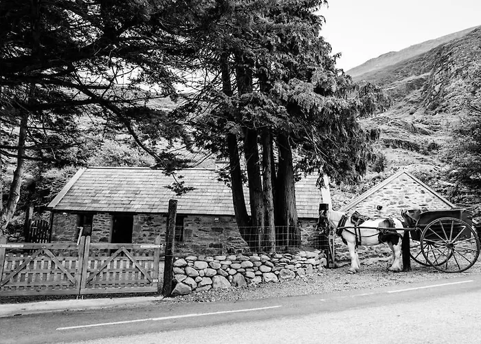 Gap Of Dunloe Shepherd's Killarney