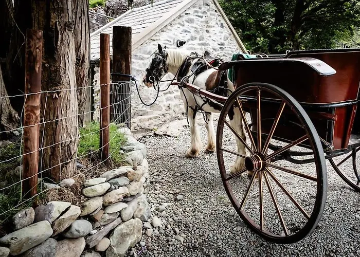 Casa de Férias Gap Of Dunloe Shepherd's Killarney