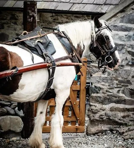 Casa de Férias Gap Of Dunloe Shepherd's *
