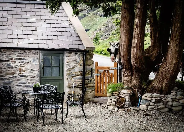 Gap Of Dunloe Shepherd's *