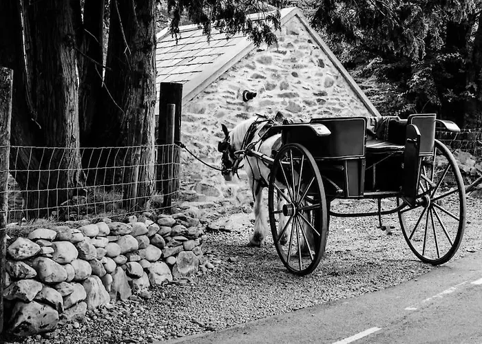 Gap Of Dunloe Shepherd's * كيلارني