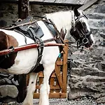 Prázdninový dům Gap Of Dunloe Shepherd's *