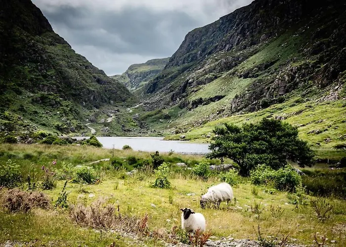 Gap Of Dunloe Shepherd's *